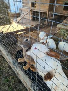 Александровский спас - 93