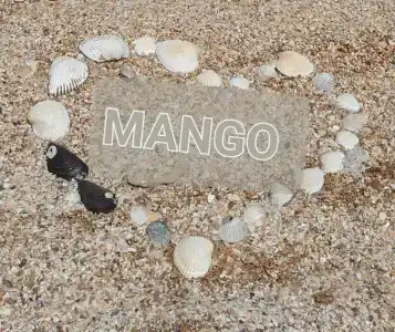 ManGo Hom - 1