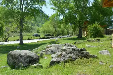 Арбат - 50