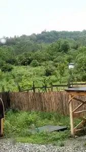 Серёжкино - 25