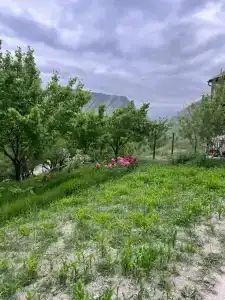 Старый мельник - 8