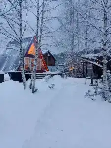 Дом с баней и чаном у леса - 54