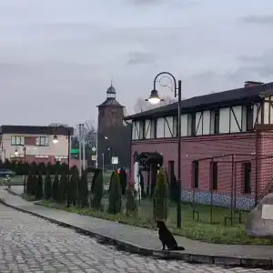 Тюниных - 65