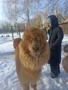 Пронино - 10