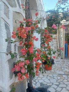 Bodrum Sade Pension - 38