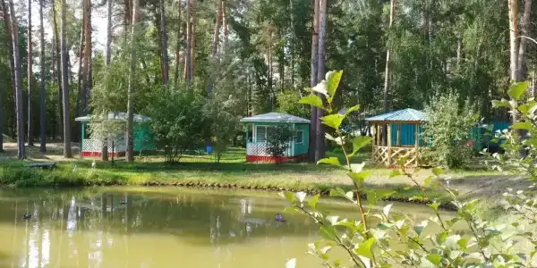 Обские просторы - 23