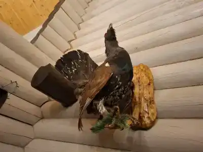 Белая Ривер Клаб - 23