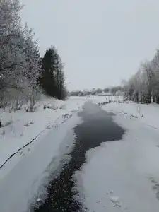 Усадьба помещика Гуляева - 66