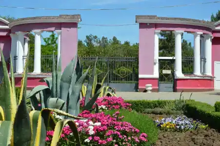 Искра - 49