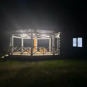 Кедровка - 21
