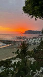 Saritas Only FamİLy Concept - 87