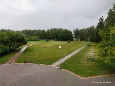 Сосны - 6