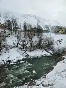 Cozy in Kazbegi - 6