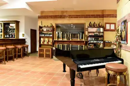 Estreya Palace - 17