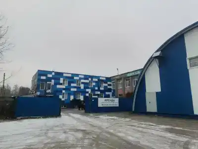 Лебедь - 18