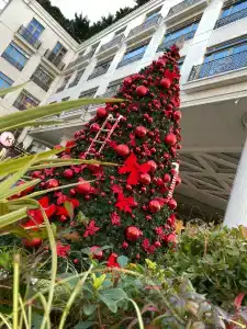 CVK Park Bosphorus Istanbul - 9