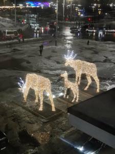 Меридиан - 99