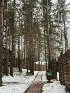 Магия леса - 44