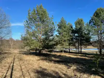 Земля Бобра - 6