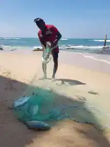 Cool Beach - 33