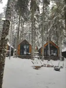 Barn&Wood - 12