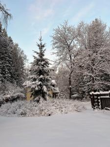 DachaLand - 18