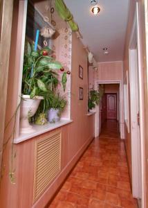 Дискавери - 6