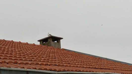 The Marist Kadikoy - 13