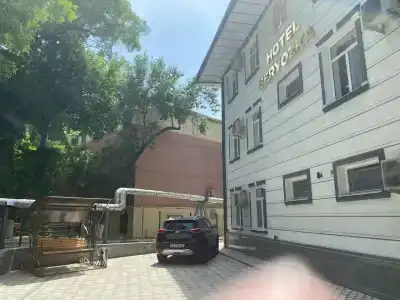Берёзка - 6
