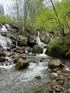 Кук-Караук - 1