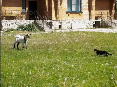 Хуторок - 15