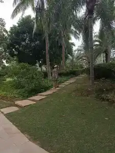 Sheraton Sanya Yalong Bay Resort - 85