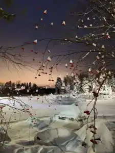 Лесная бухта - 30