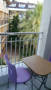 Delphin Side - 23
