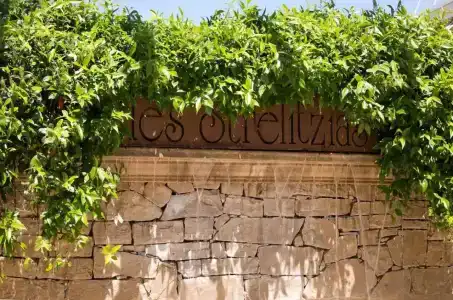 The Originals Boutique, Hôtel Les Strélitzias - 13