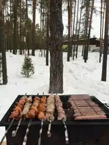Кусторка - 42
