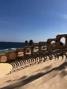 Albatros Citadel Resort - 46