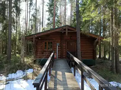 Неясыть - 28