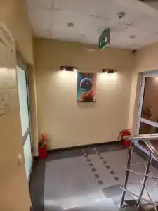 Стрекоза - 72