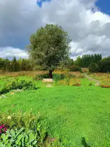 Sky Wood Hills - 12