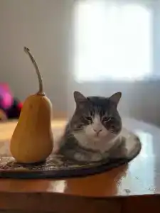 Турдагестан - 25