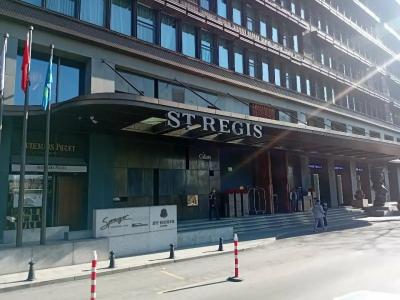 The St. Regis Istanbul - 6