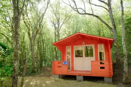 Эколоджия - 4