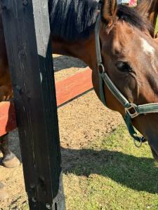 Капитанский Остров 57 - 90