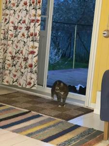 Желтый дом на Садовом 14 - 25