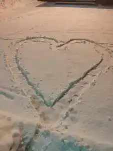 Лососинская - 20