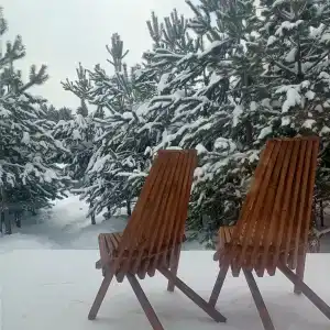 Forest camp - 10
