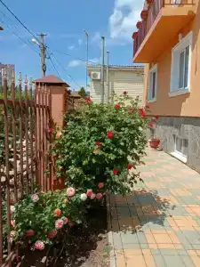 Ангелина - 10