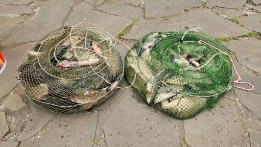 Тихий Причал - 92