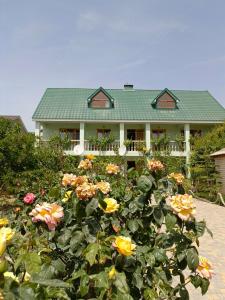 Green House - 16